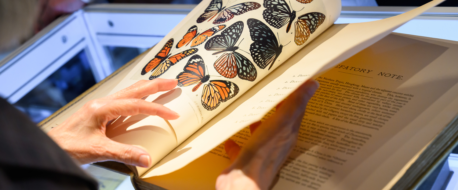 Firsts Hong Kong 198